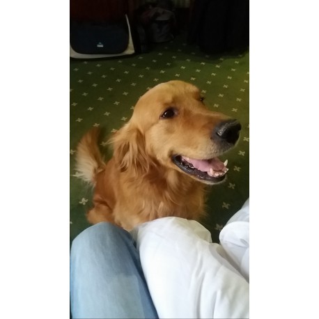 Koloidní stříbro 1000ml.