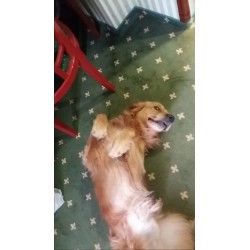 Koloidní stříbro 1000ml.