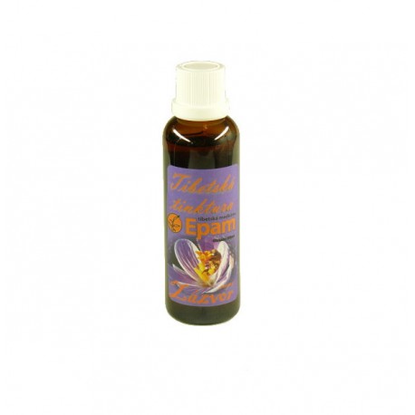 Zázvor lékařský - tinktura Epam